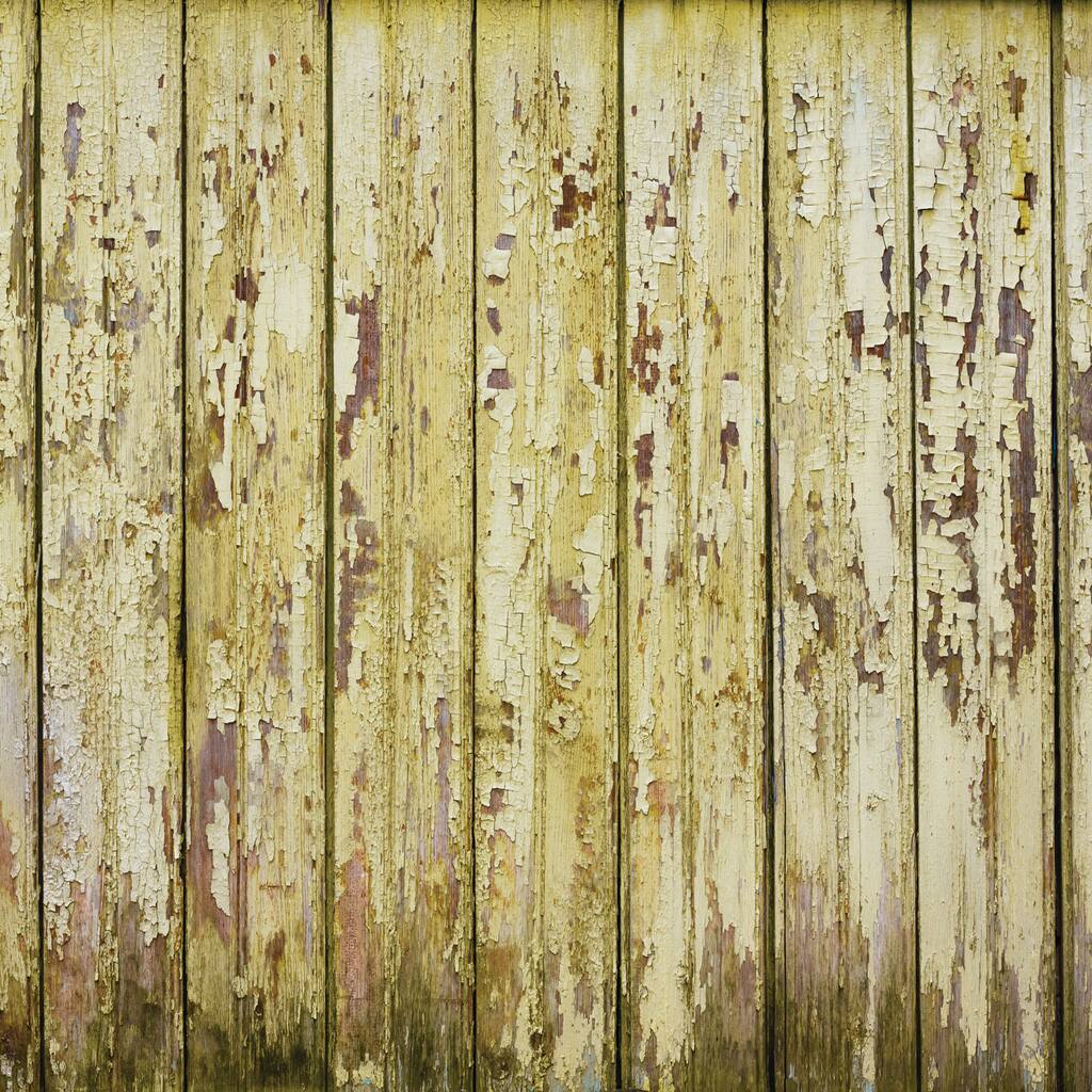 10505695.jpg img